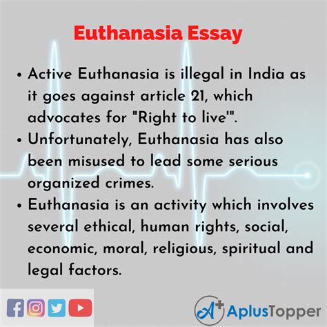 Euthanasia Argumentative Essay Sample : blogger.com